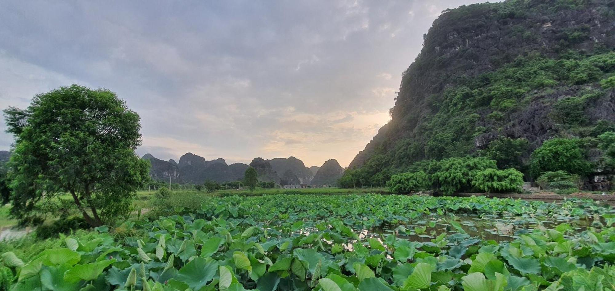 Trang An Rice Field Homestay Ниньбинь Экстерьер фото