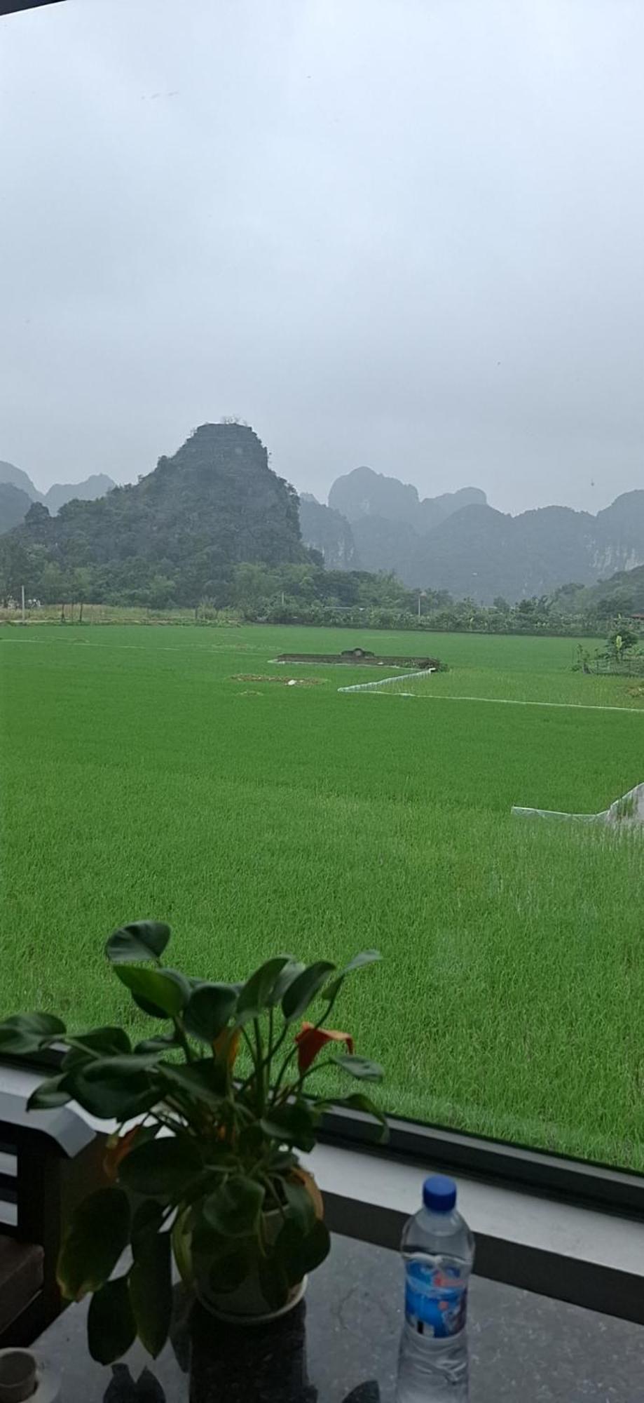 Trang An Rice Field Homestay Ниньбинь Экстерьер фото